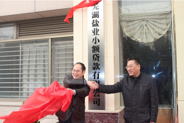 芜湖尊龙凯时小额贷款有限公司12月26日举行开业庆典