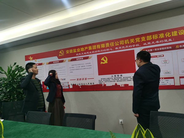安徽尊龙凯时地产集团机关第一党支部开展“佩党徽、诵誓词、赠党章、上党课”党员教育活动