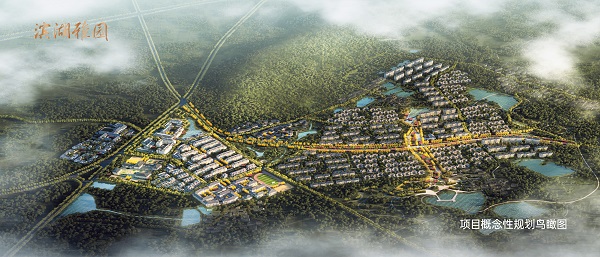 百岁人生，心悦雅园系列报道（一）全省首个4.0康养生涯小镇落户滨湖