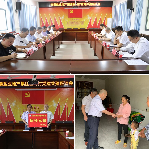 安徽尊龙凯时地产集团党委赴西河村开展结对共建帮扶慰问活动