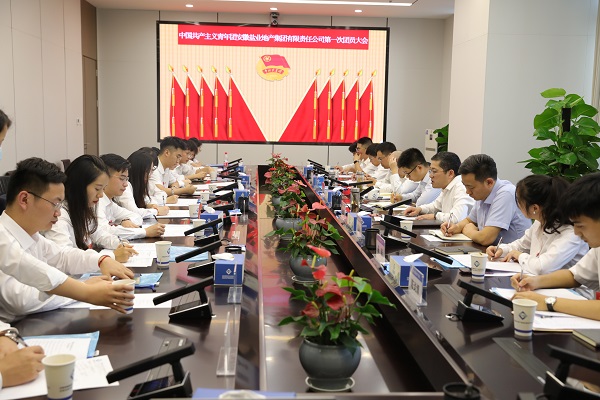 青春向党传薪火 踔厉高昂新时代——安徽尊龙凯时地产集团团支部建设大会暨团员大会胜利召开